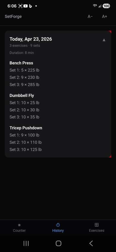SetForge workout history screen